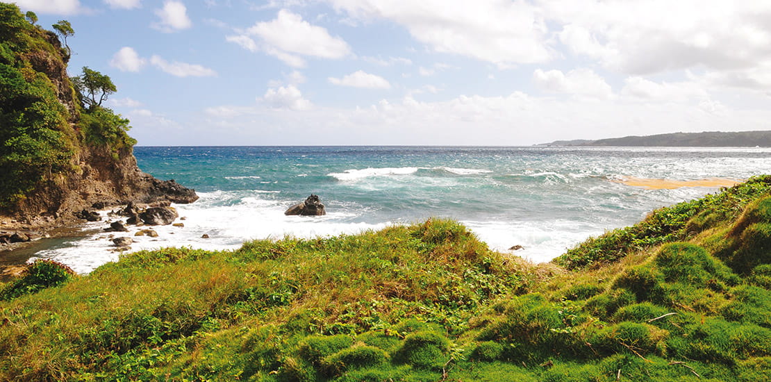 A view out to sea from the coastline of Dominica